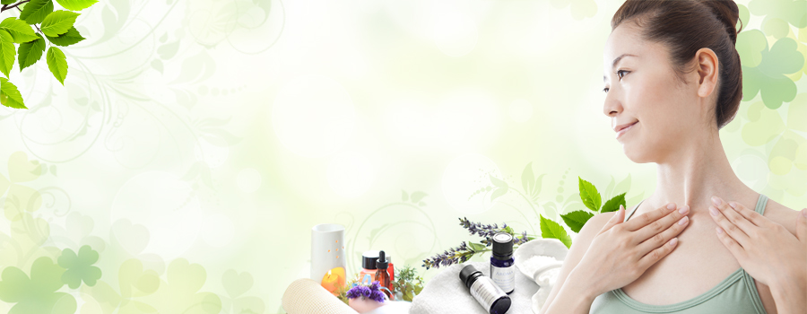 ����̃A�h�x���g�J�����_�[�yPRIMAVERA�@�v���}���F�[���z