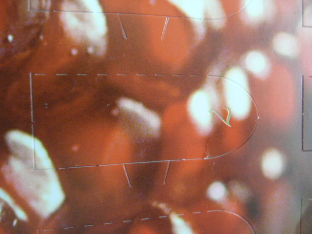 香りのアドベントカレンダー