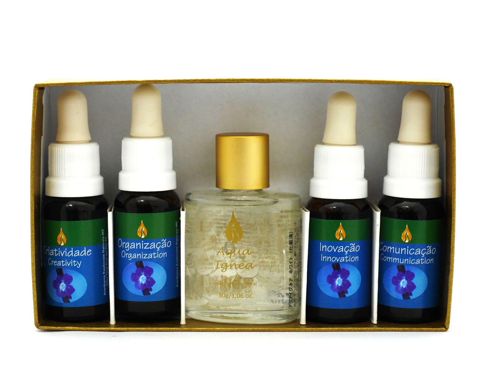 �A�����^�}�@�A�N�A�C�O�l�A�@���C���t�H���X�g�G�b�Z���X