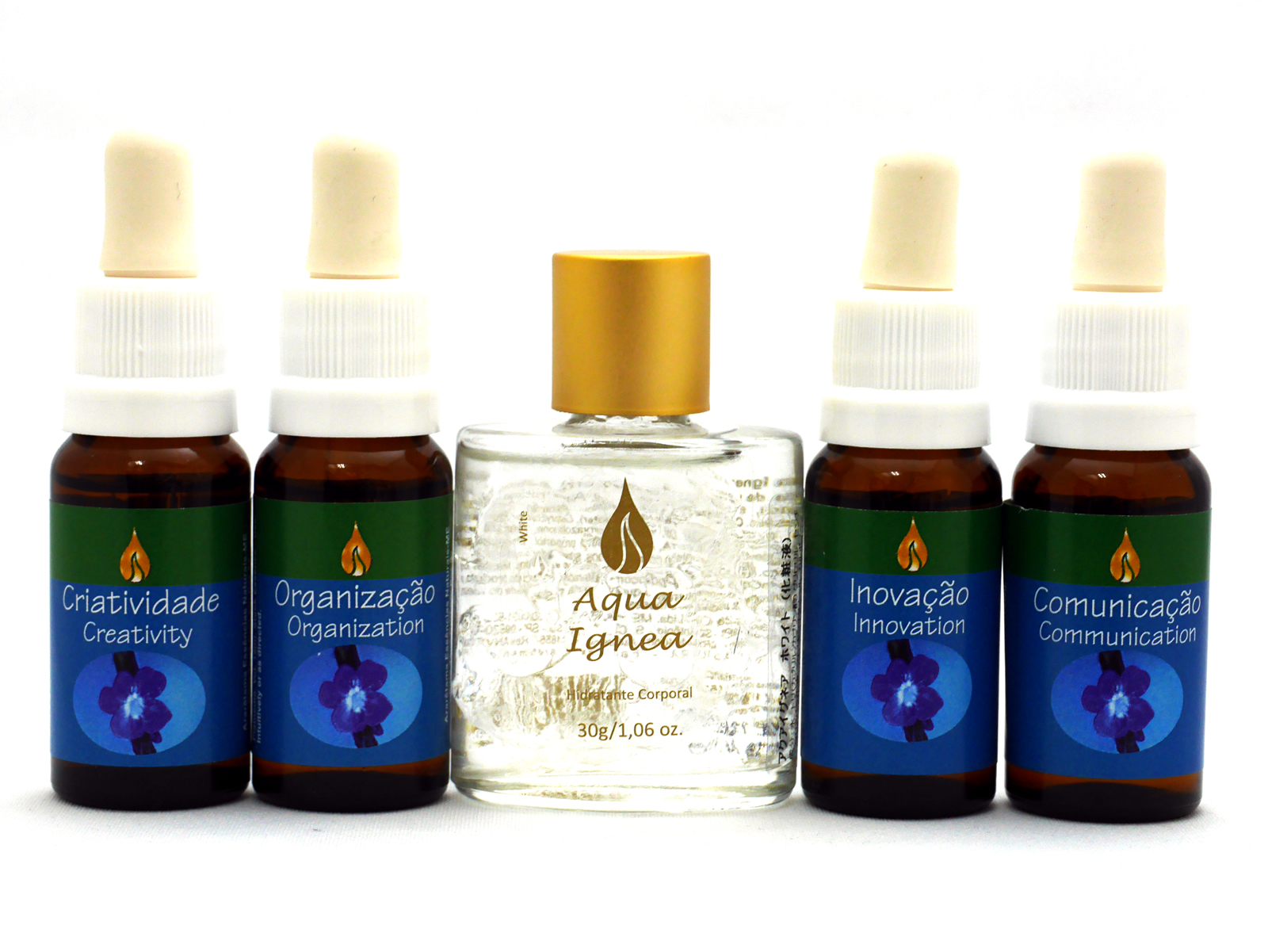 �A�����^�}�@�A�N�A�C�O�l�A�@���C���t�H���X�g�G�b�Z���X