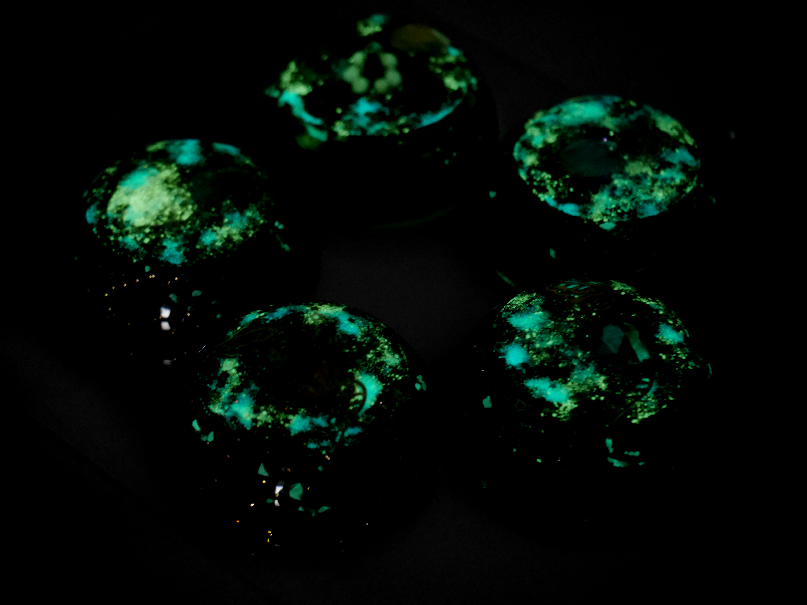 �I���S�i�C�g