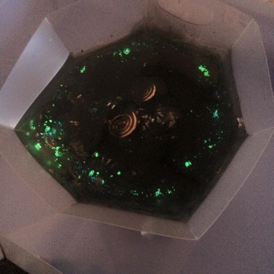 �I���S�i�C�g