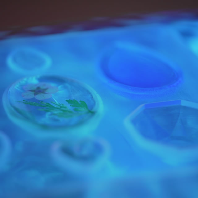 �I���S�i�C�g