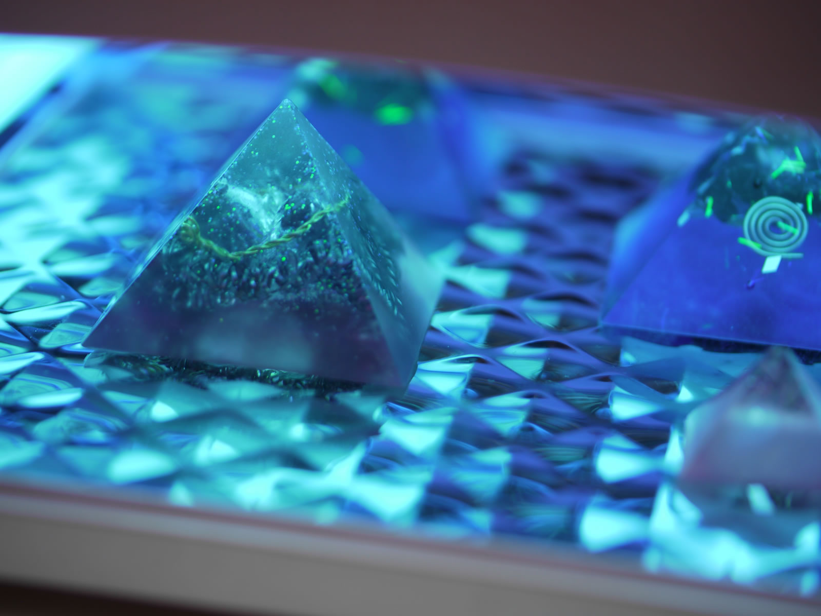 �I���S�i�C�g