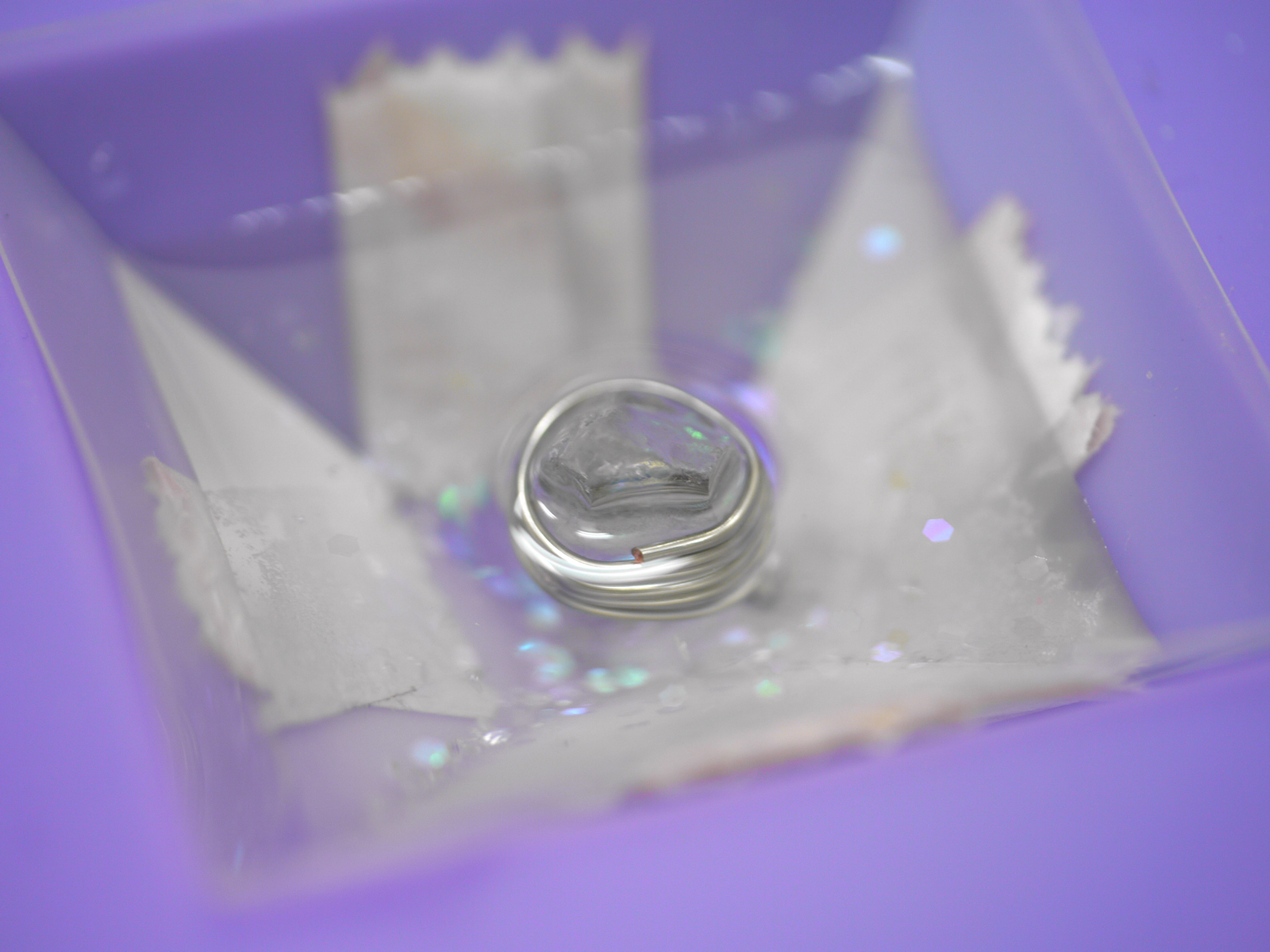 �I���S�i�C�g