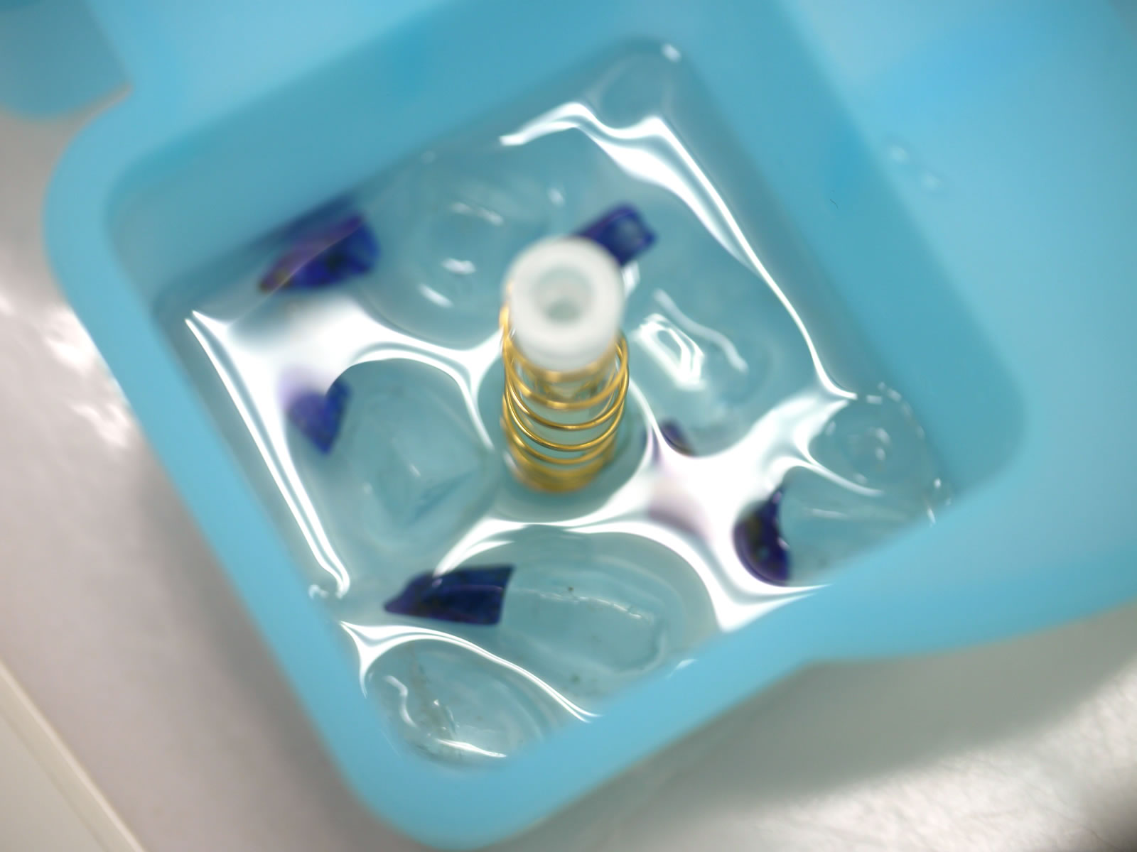 �I���S�i�C�g