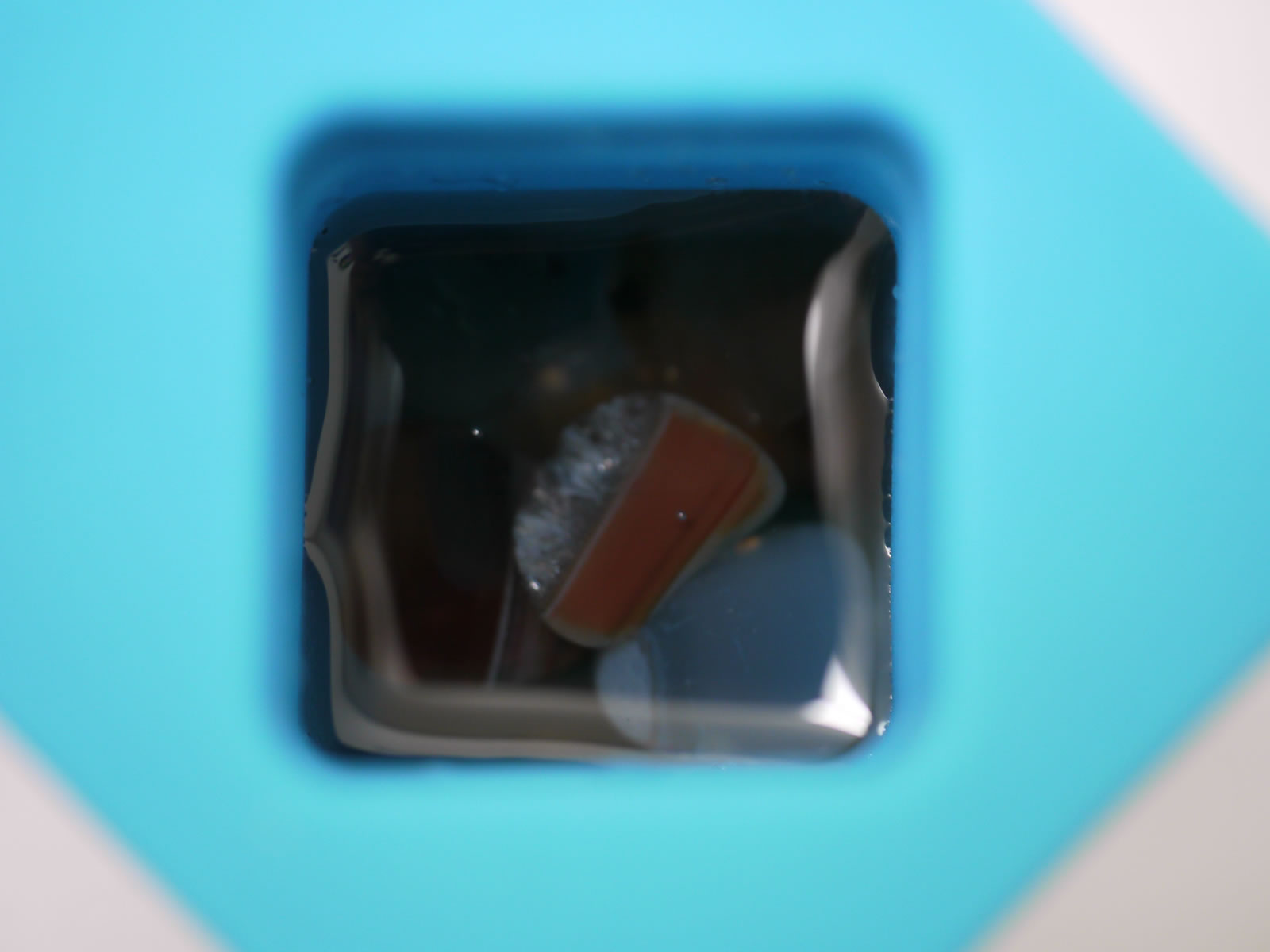 �I���S�i�C�g