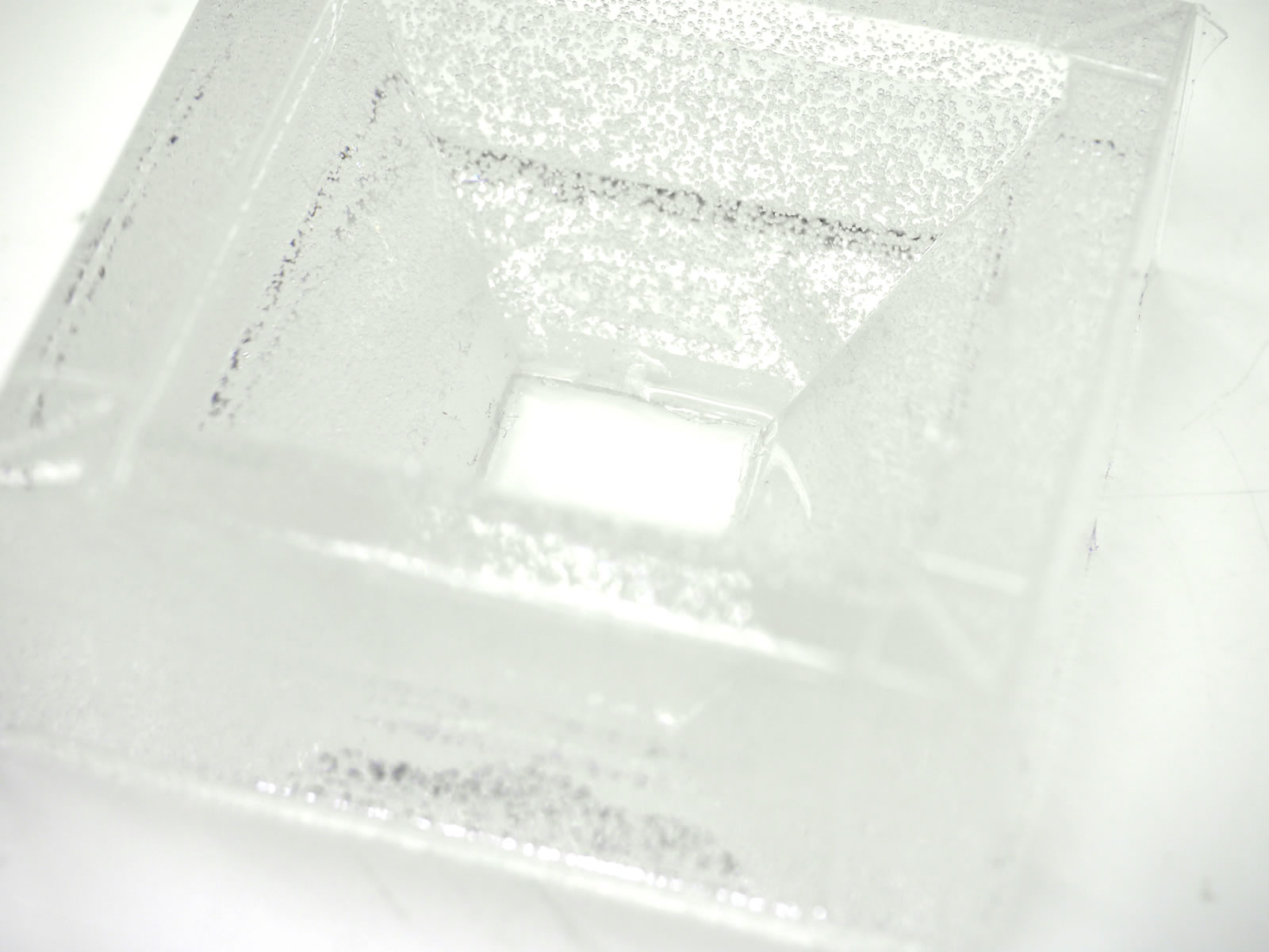 �I���S�i�C�g