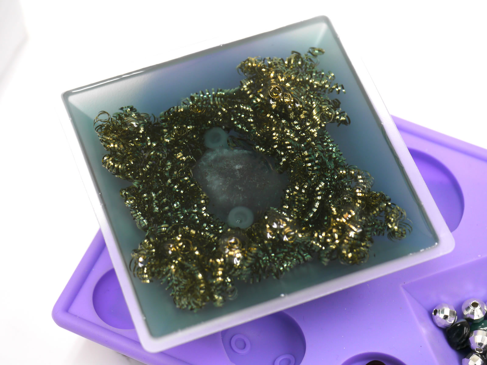 �I���S�i�C�g