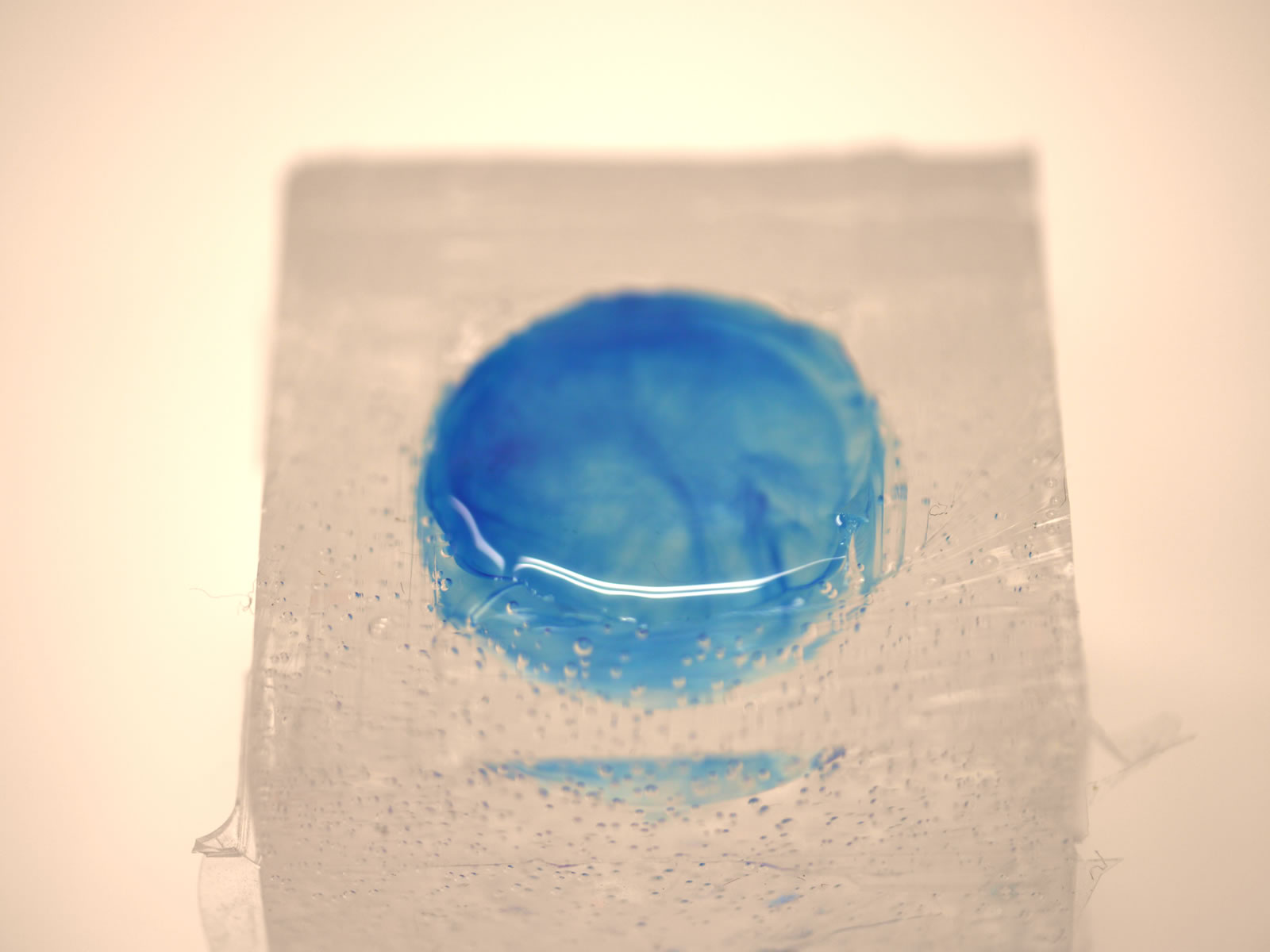 �I���S�i�C�g