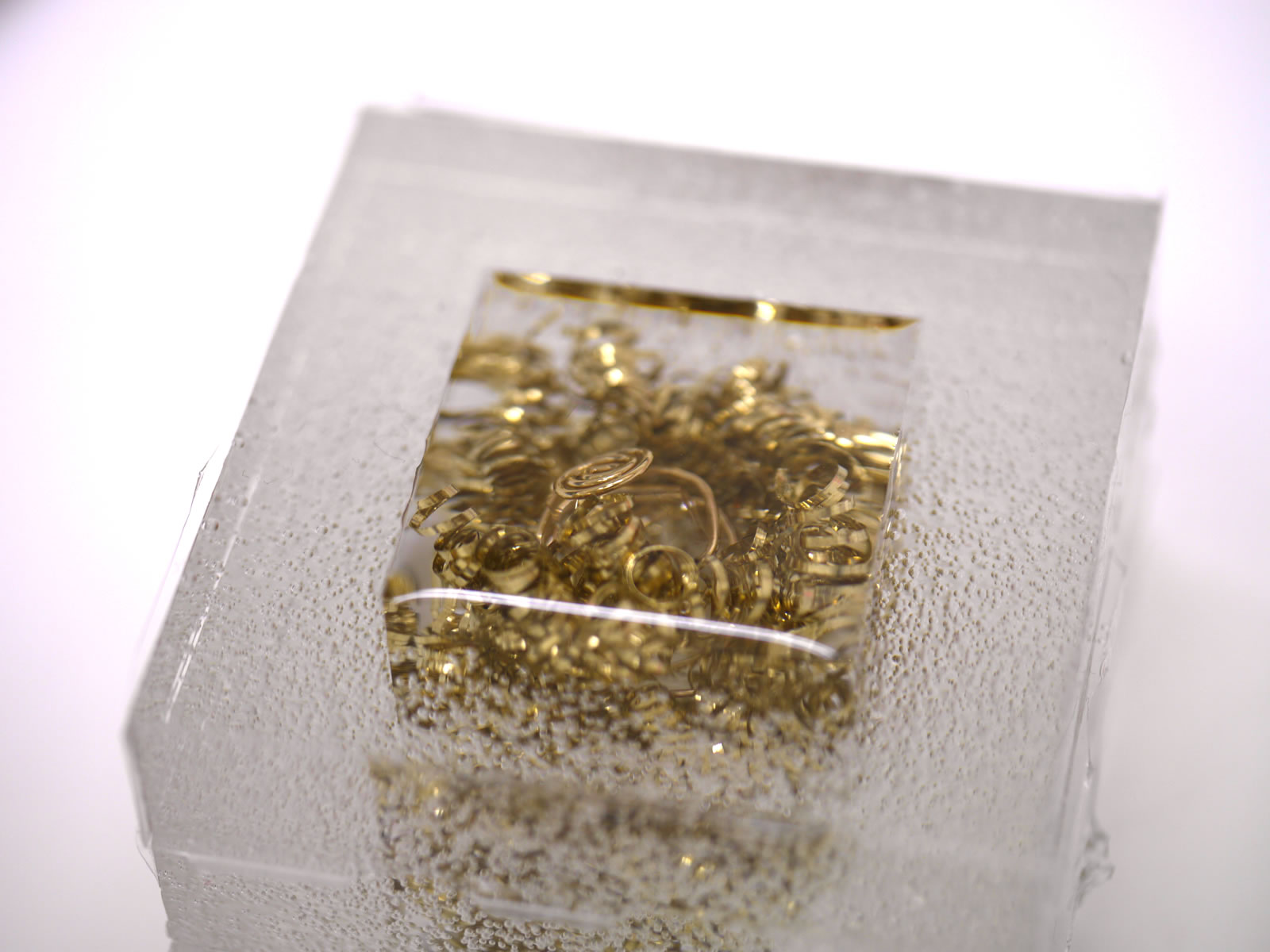 �I���S�i�C�g