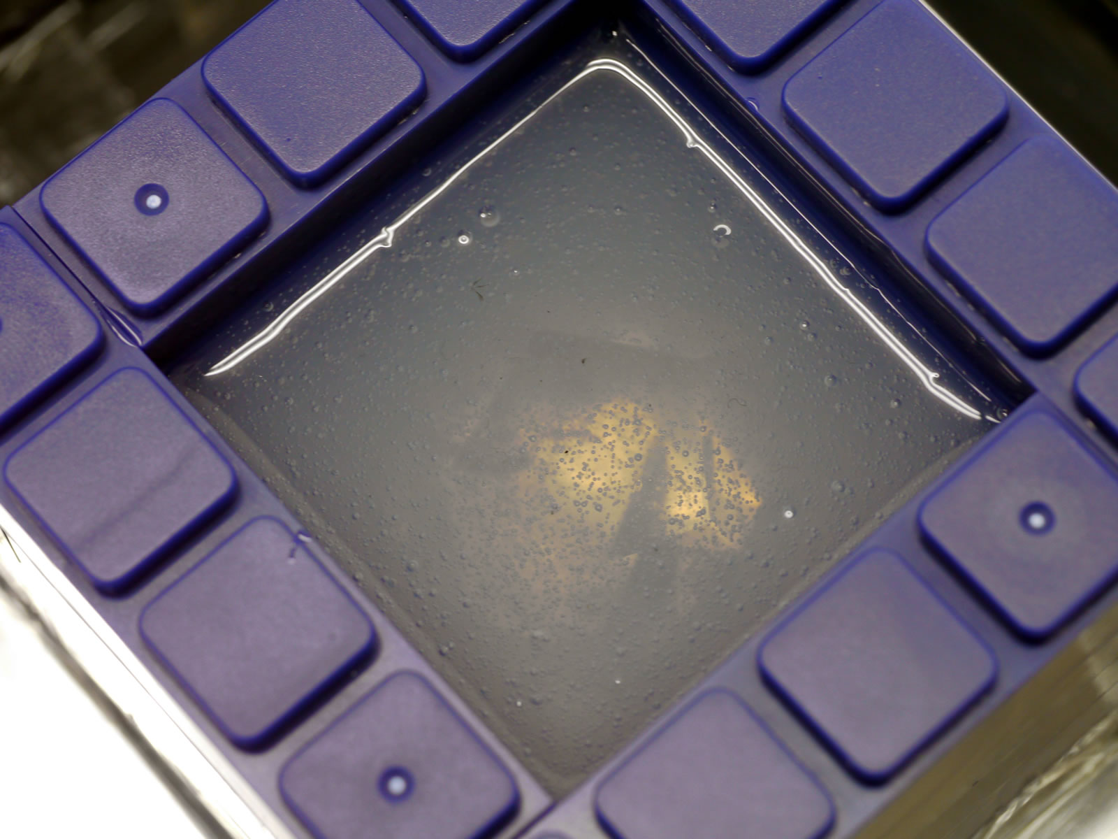 �I���S�i�C�g