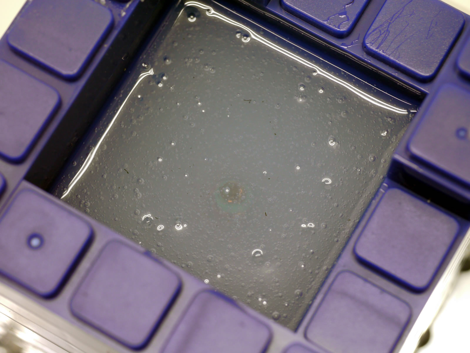 �I���S�i�C�g