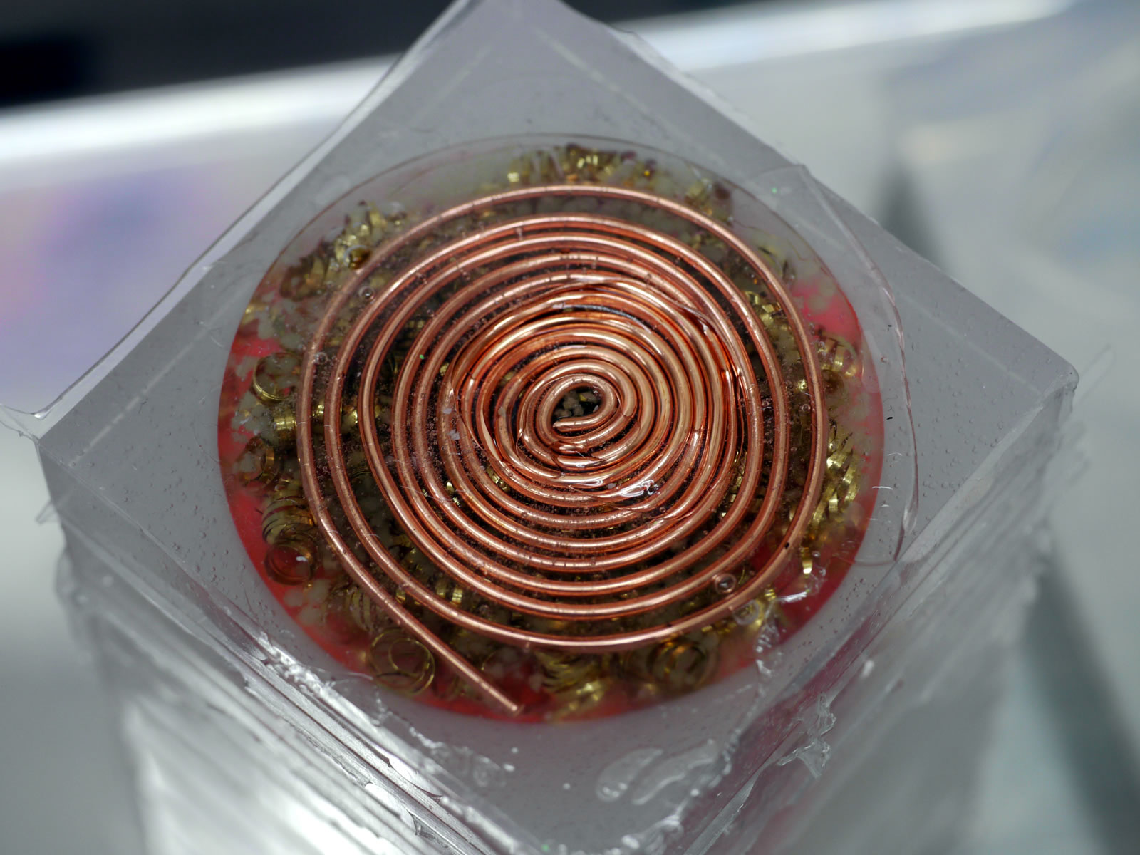 �I���S�i�C�g