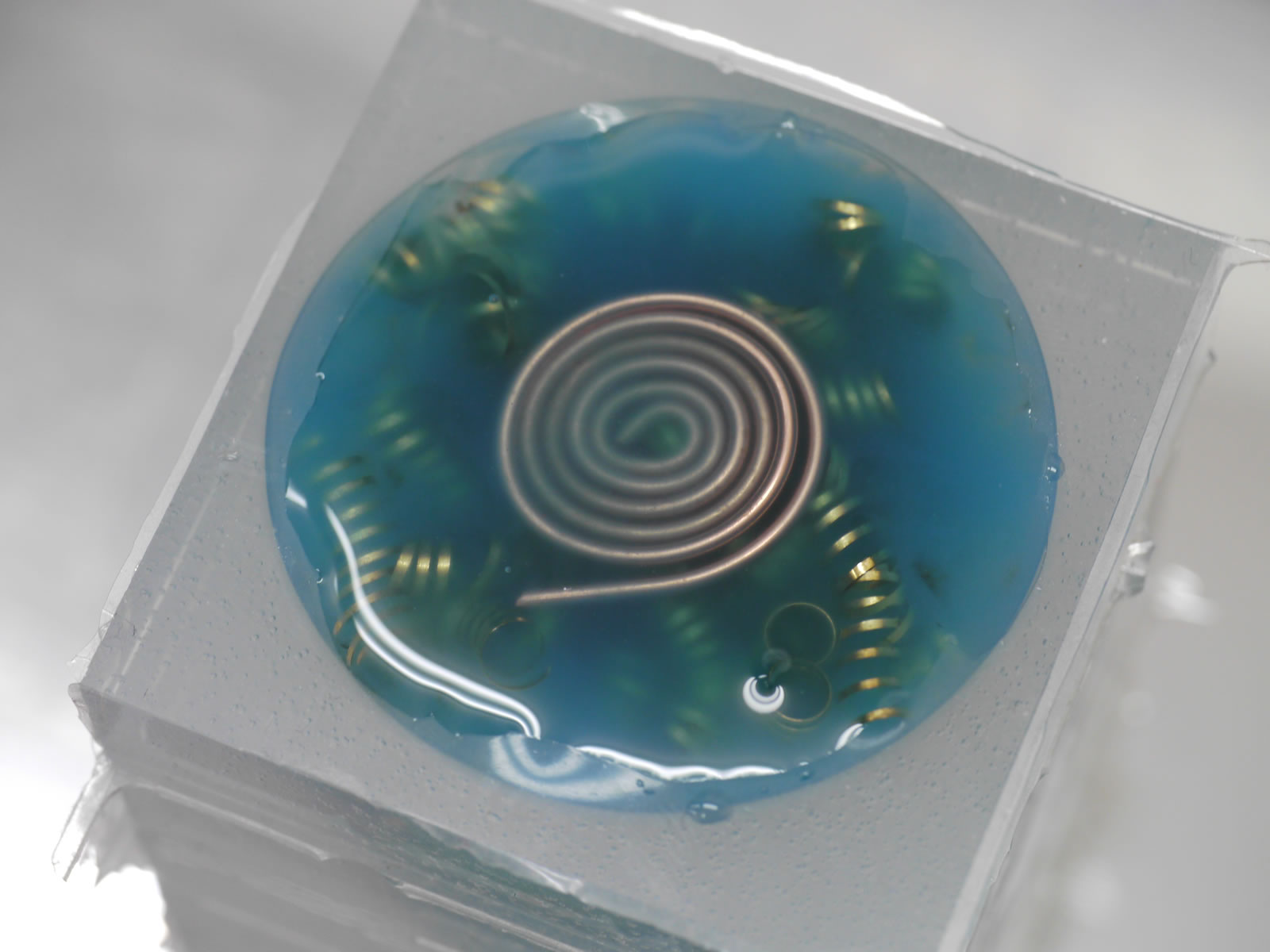 �I���S�i�C�g