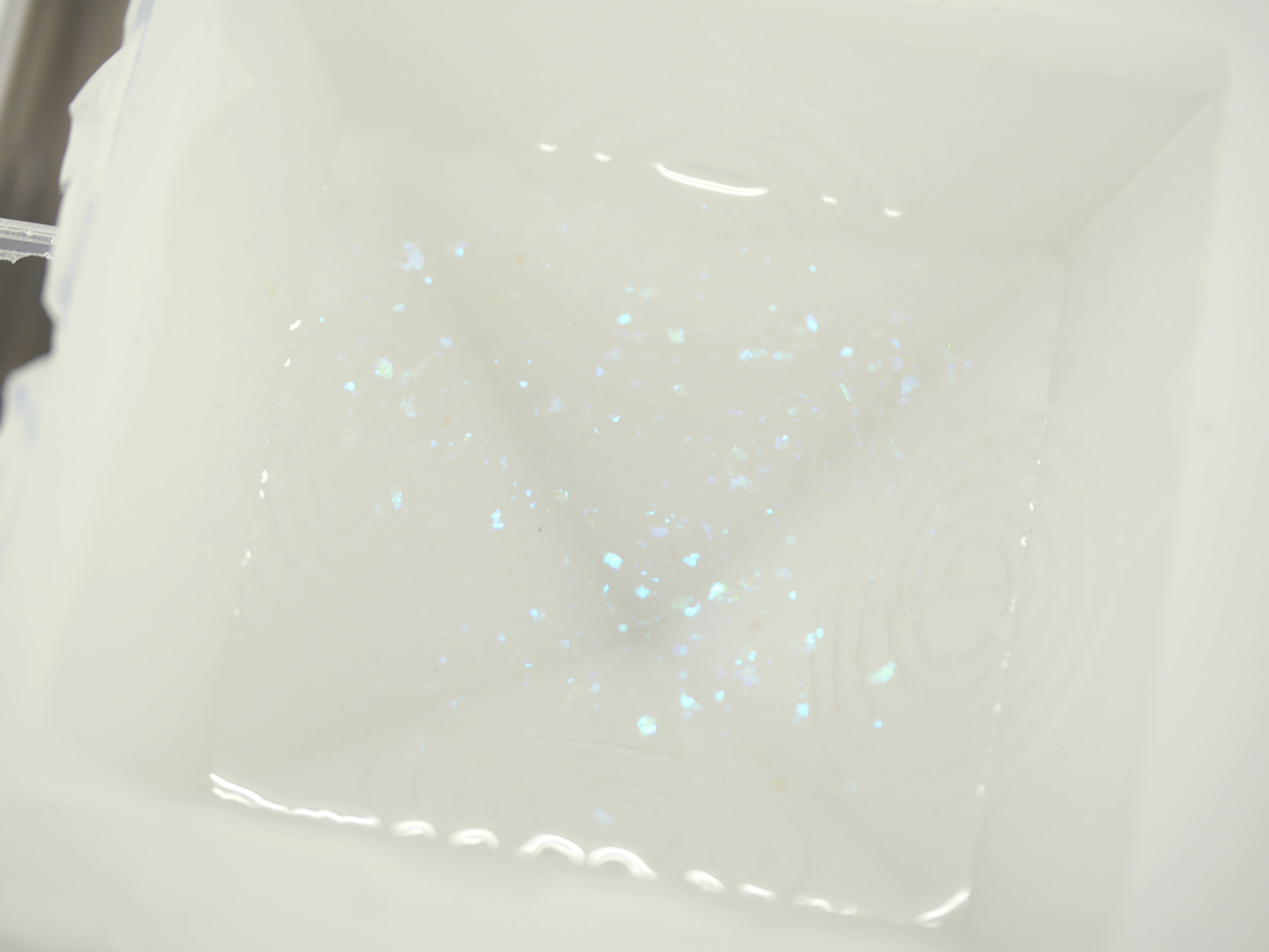 �I���S�i�C�g