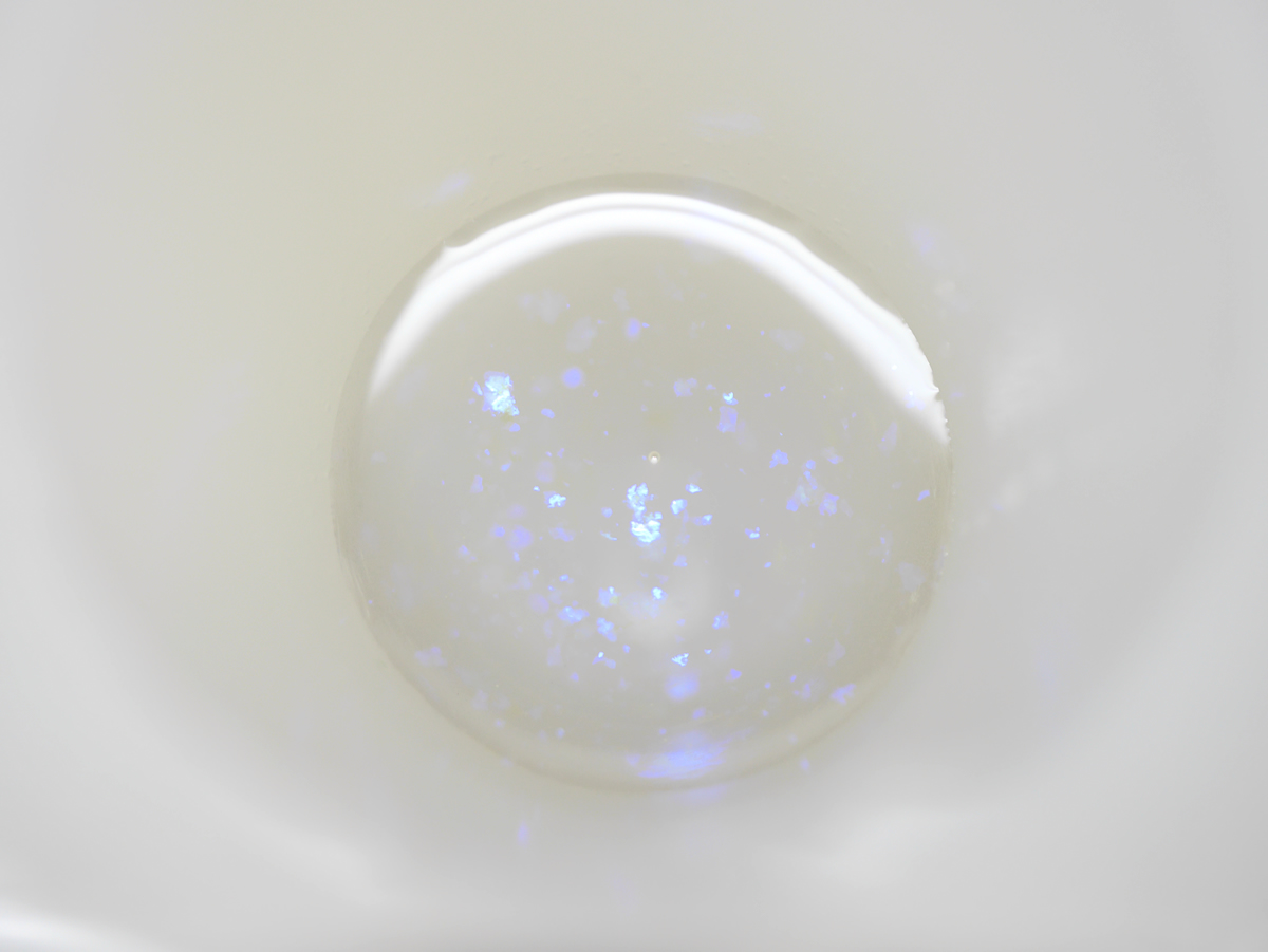 �I���S�i�C�g