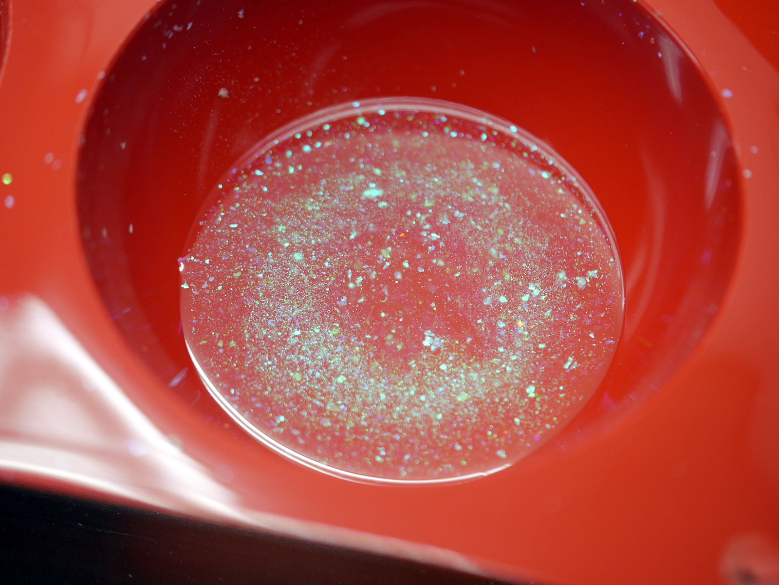 �I���S�i�C�g