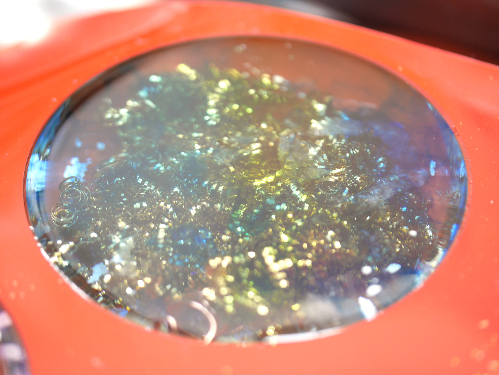 �I���S�i�C�g