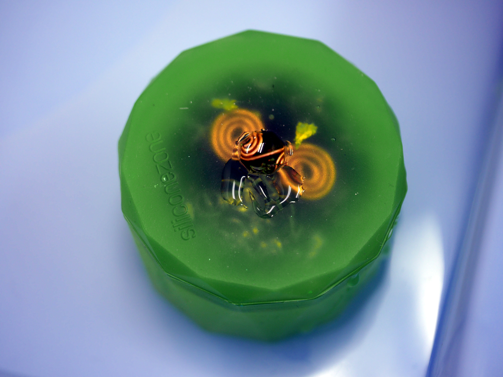 �I���S�i�C�g