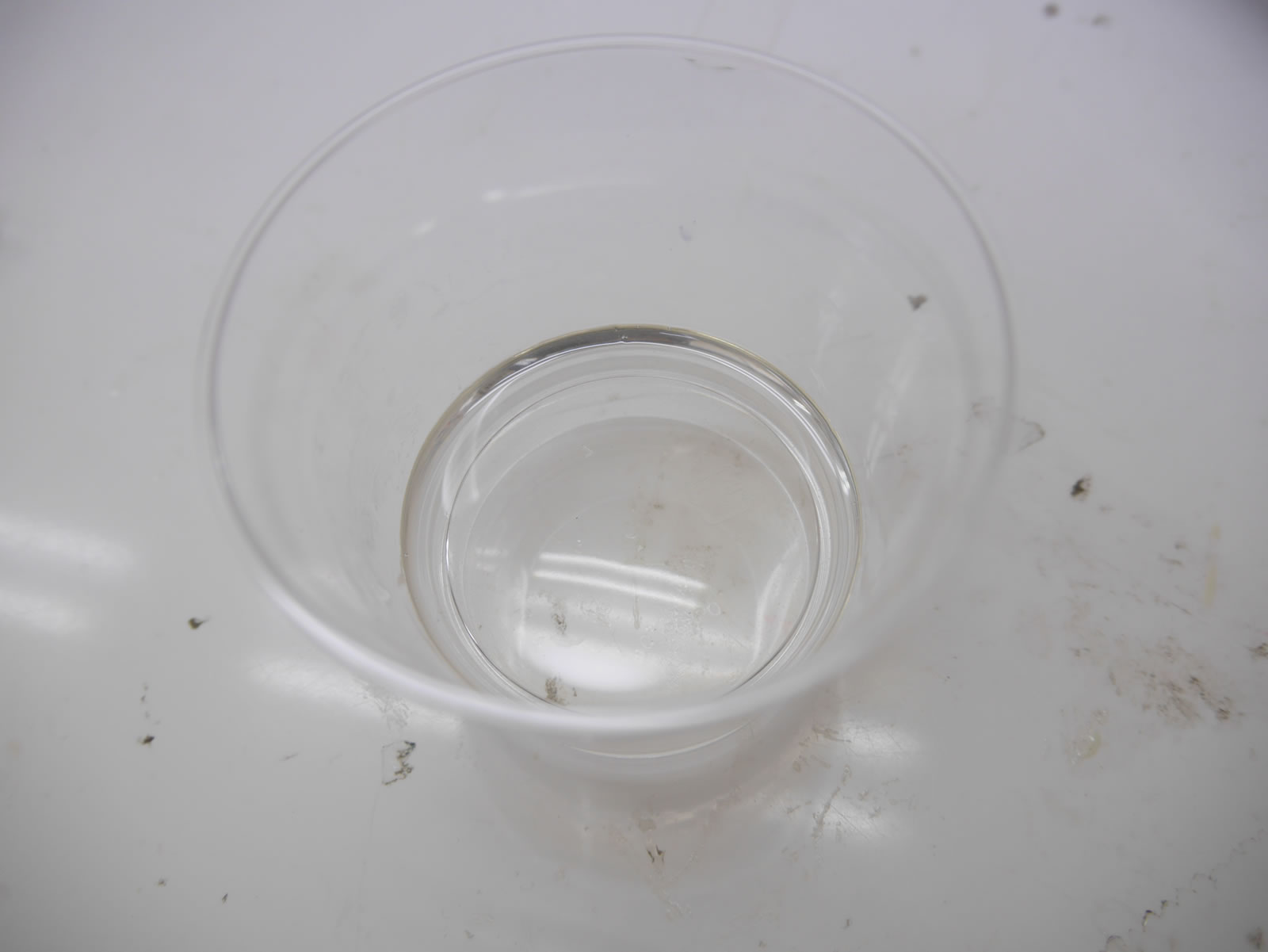 �T���v���@�G�|�L�V����