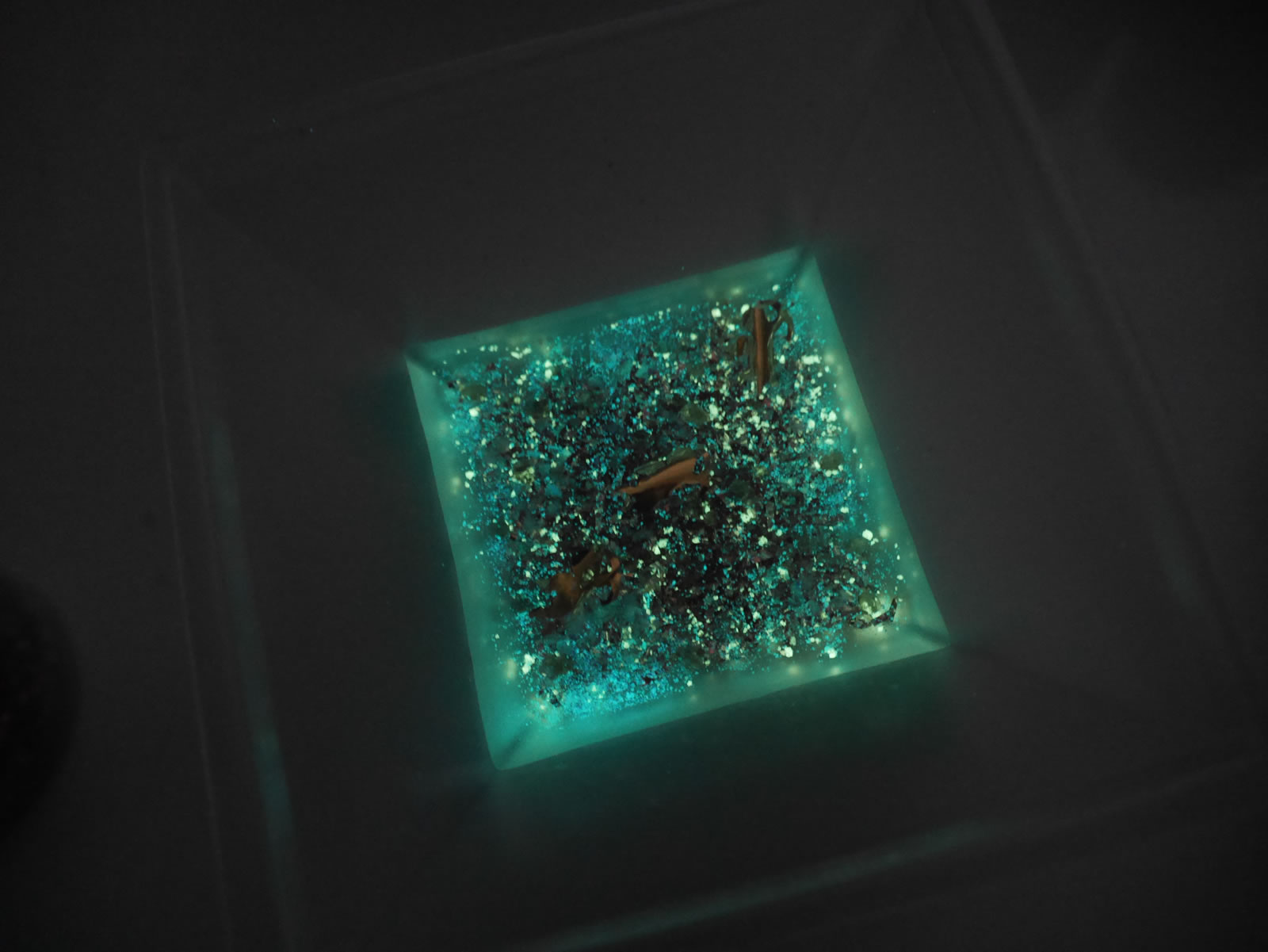 �I���S�i�C�g