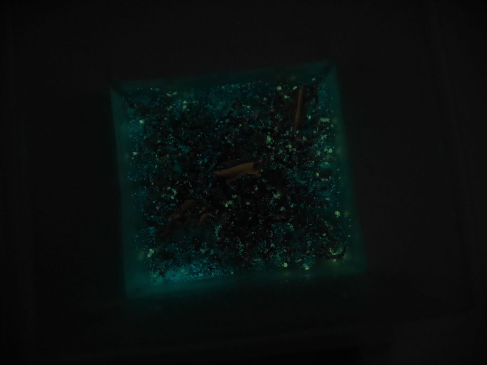 �I���S�i�C�g