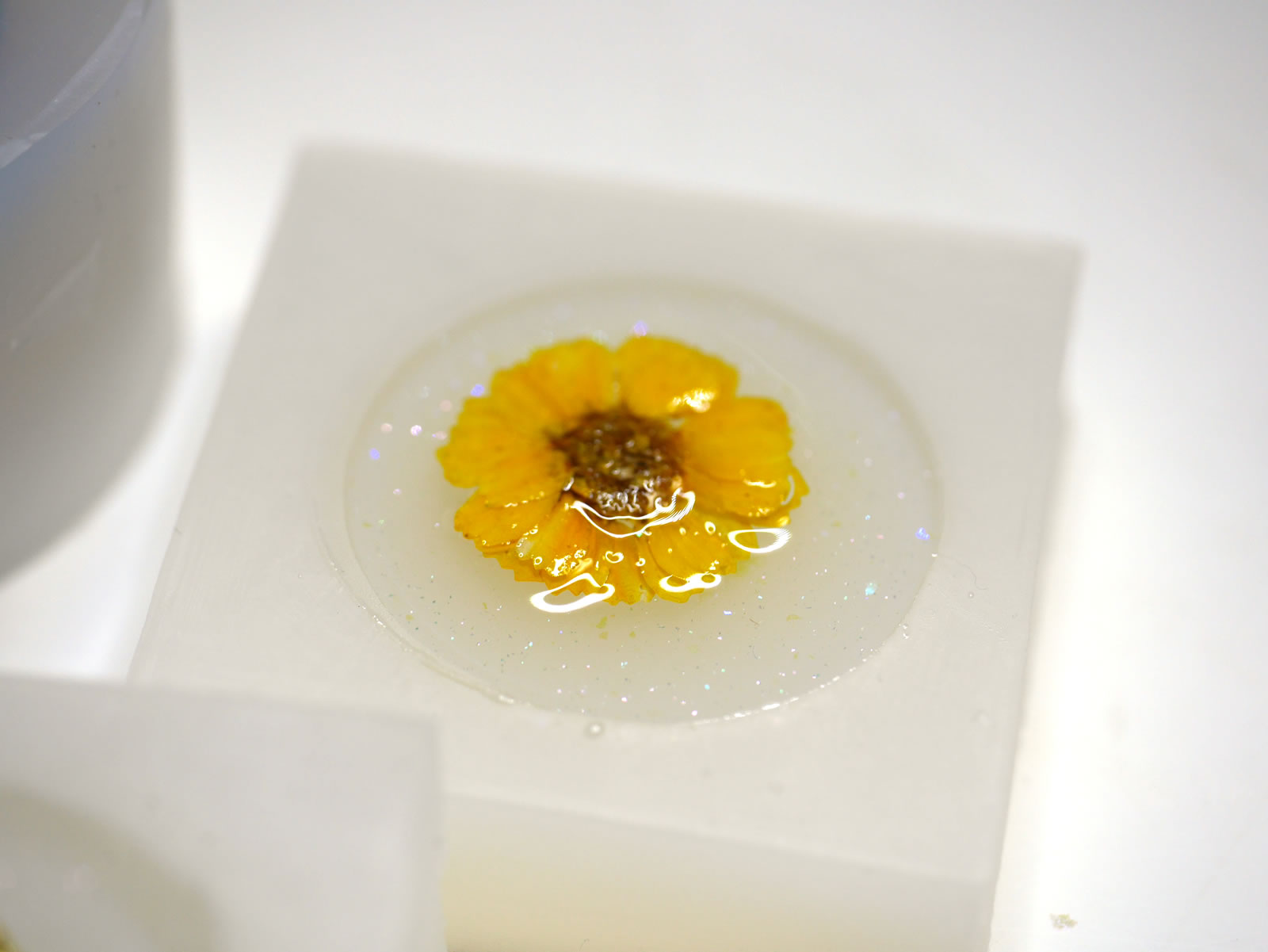 �I���S�i�C�g