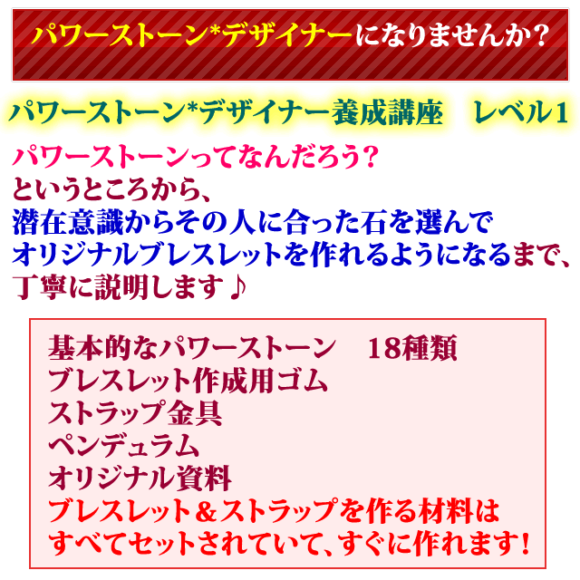 �p���[�X�g�[��*�f�U�C�i�[�{���u��