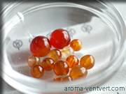 �J�[�l���A��