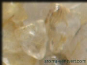 ���`���N�I�[�c