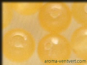 �A���S�i�C�g