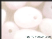 �����K�i�C�g