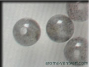 ���u���h���C�g